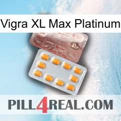 Vigra Xl Max Platinum new13